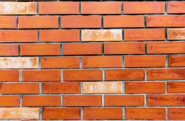 Fototapeta premium brick wall