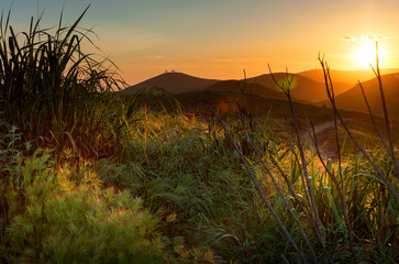 Golden Sunset over Ventura Hillsides with Two Trees