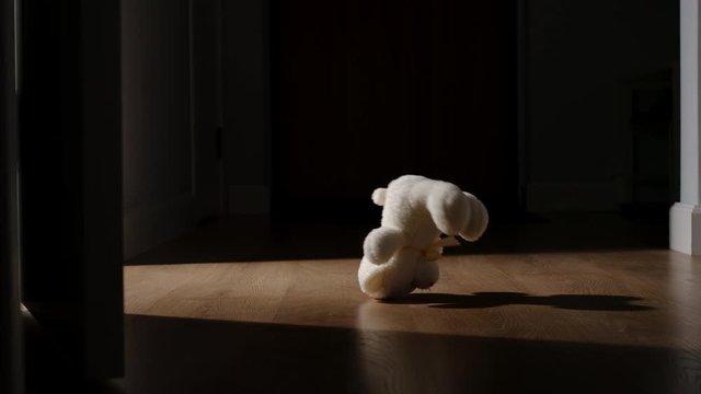White Plush Bear Toy Is Thrown On The Floor In A Dark Room