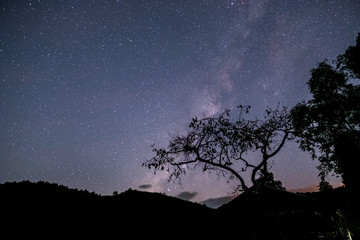 Obraz na płótnie Canvas The stars and the milky way in the dark sky at night are very beautiful.