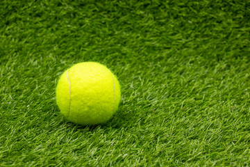 Tennis  ball is on green grass