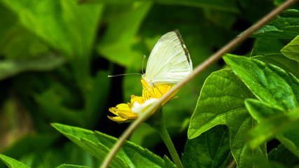 naturaleza 