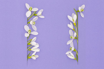 Spring background, composition of white flowers of snowdrops on a bright background with place for your text