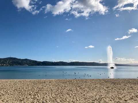 Fountain view from Oriental Bay, Wellington waterfront
