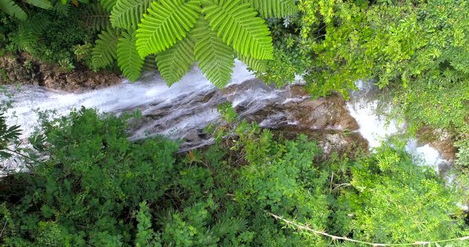Over a small creek in the rain forest, Bukit Fraser, Malaysia. aerial view of a jungle creek surrounded  with green leafs from the trees. truly Asia captured with a drone