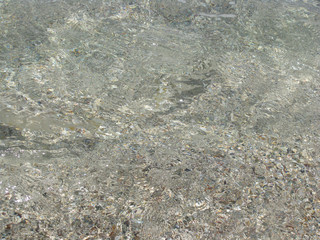 abstract natural background small fishes in coastal water on a background of sand in the Red Sea