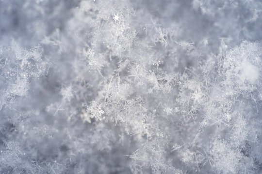 Tiny snow flakes are magnified under the light and show their unique patterns and abstract qualities.
