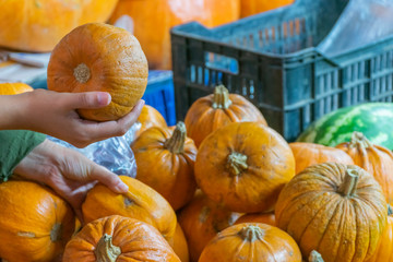pumpkins in hands