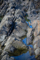 Picturesque surface of turbidites on the northern coast of Spain near the village of Armintza. Basque Country. Northern spain