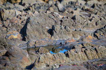 Picturesque surface of turbidites on the northern coast of Spain near the village of Armintza. Basque Country. Northern spain