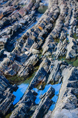 Picturesque surface of turbidites on the northern coast of Spain near the village of Armintza. Basque Country. Northern spain