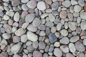 Scree stone texture or background