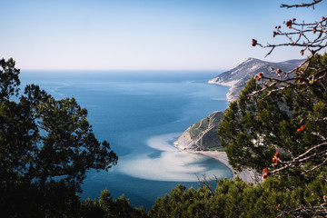 Panorama. summer landscape of the blue sea through the branches of conifers.