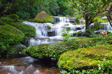 waterfall in the forest