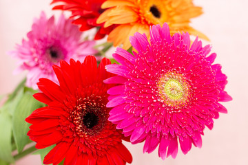 bouquet of bright flowers of chrysanthemums