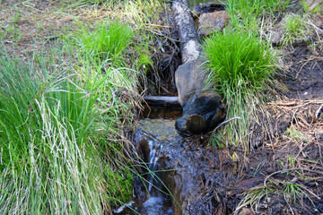 Naklejka na ściany i meble Stream in Kings Canyon National Park (CA 00142)
