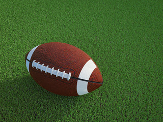 American football ball on field