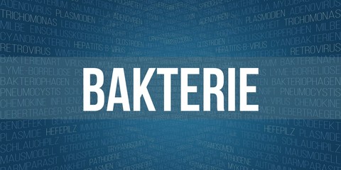 Bakterie