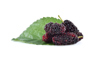 Mulberry isolated on white background