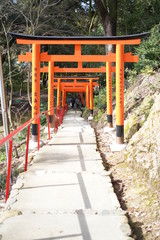 Fototapeta na wymiar 京都の神社の風景