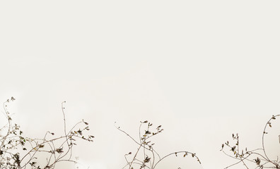 Tree branch, copy space