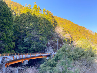 Fototapeta premium Japanese mountain and orange bridge.