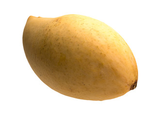 Graphic resources: isolated object fruit of a plant of the genus Mango of the Anacardia family