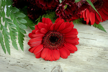 gerbera rouge dans un bouquet de fleurs