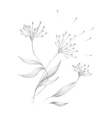 Black and white floral elenment. Isolated Hand drawn black and white pencil drawing of an abstract flowers with leaves on white background. Vintage design element.