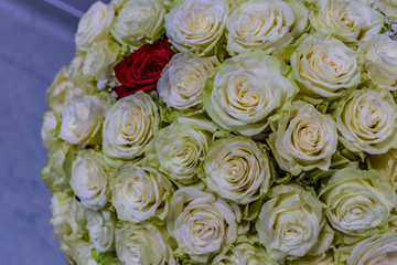Large bouquet of white roses with a red rose