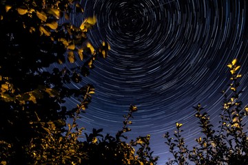 Star trails in the night sky