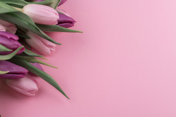 a bouquet of fresh fragrant pink tulips and a gift for women's day on a pink background. Mother's day greetings