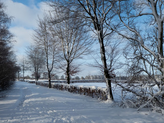 Winterliche Heckenlandschaft in der Eifel
