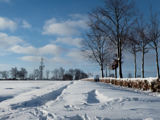 Winterliche Heckenlandschaft in der Eifel