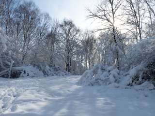 Winterlandschaft in der Eifel