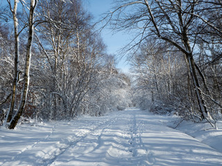 Winterlandschaft in der Eifel