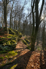 Müllerthal in der Eifel in Luxemburg