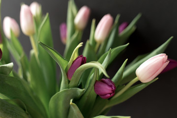 Naklejka premium bouquet of pink and purple tulips on a black background, spring flowers for women, copy space