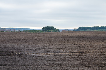 Wavy plowed fields in early spring, forest on the horizon, cloudy sky