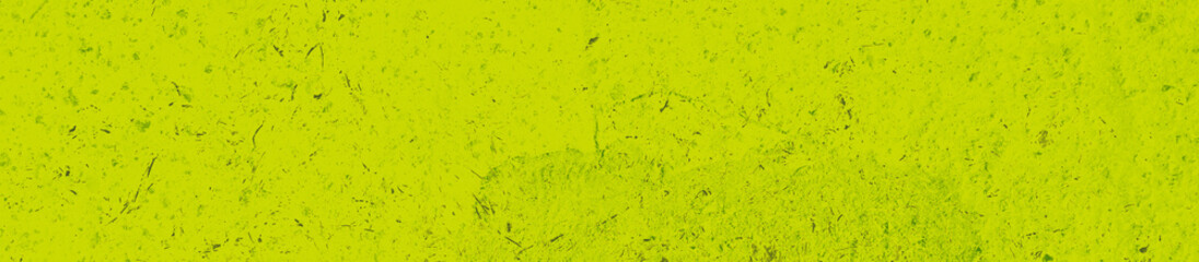 abstract lime and green colors background for design