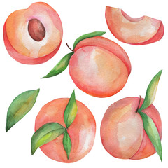set of elements, watercolor illustrations, peach and leaf images