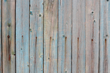 Part of an old fence with paint residues on dry wooden boards. Old nails left rust on wood. Grunge wooden fence wall background texture and place for text