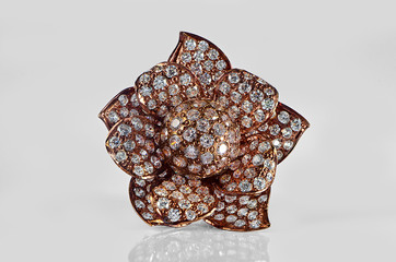 Gold & Gemstones flower shape earring isolated-