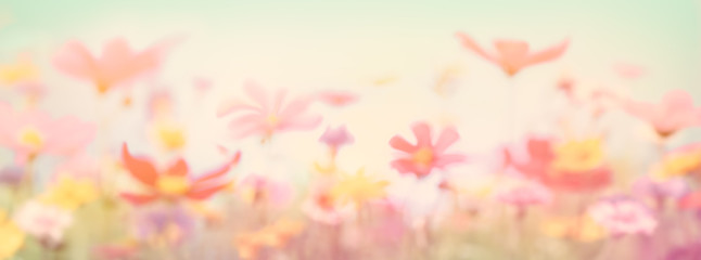 Abstract wild flowers background