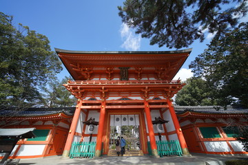 京都の観光　梅