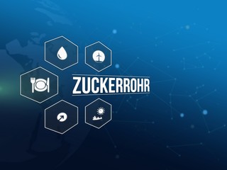 Zuckerrohr