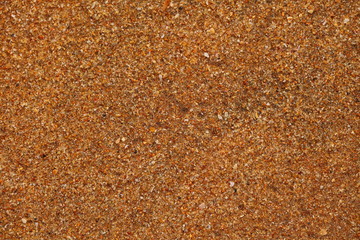 foam on sandy tropical ocean beach