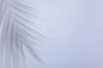 Palm leaf shadow on turquoise blue background. Concept of beach holiday, sea tour, warm sunny summer. Advertising space
