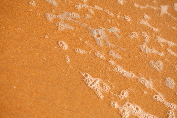 foam on sandy tropical ocean beach