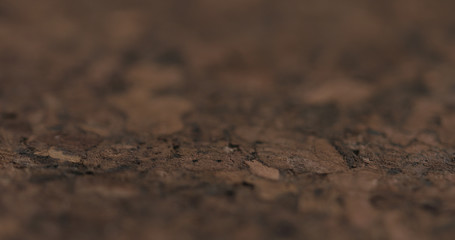 closeup of dark cork background